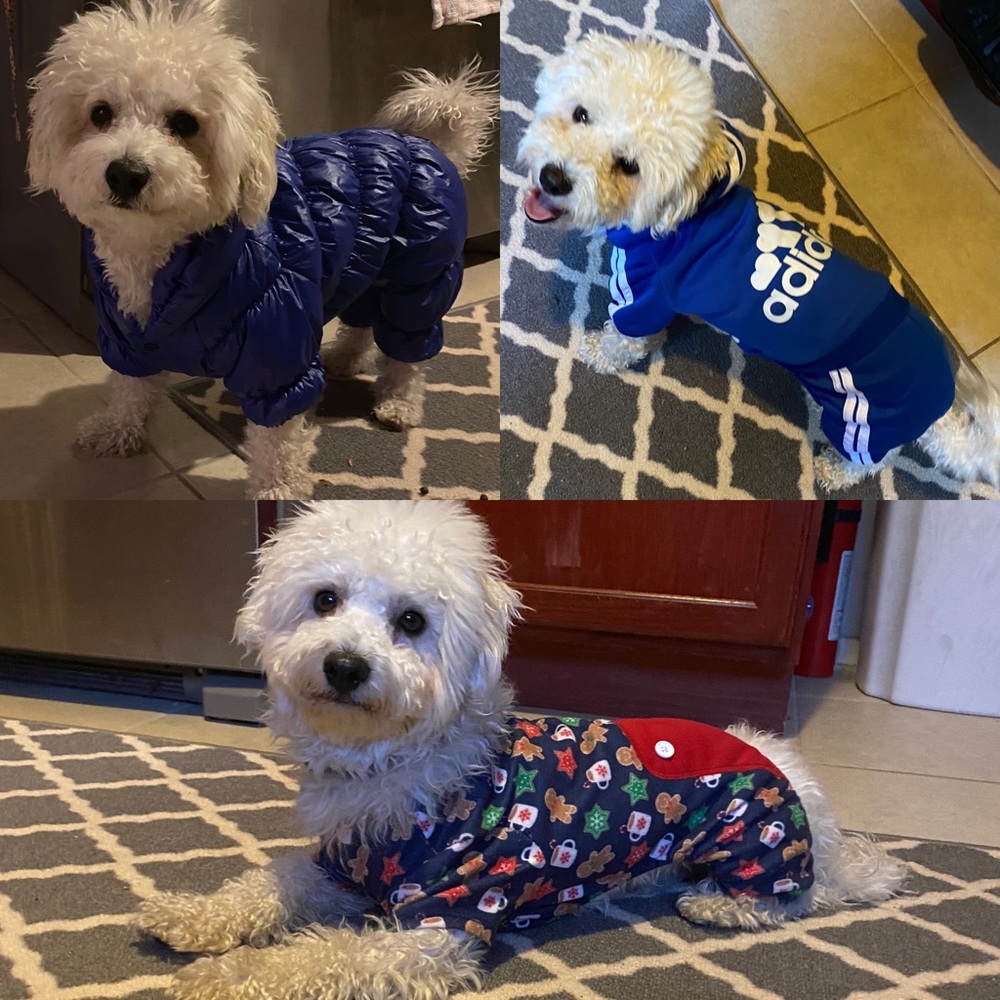 ISO Small Dog Outfits • Jumpsuits onesies Pajamas